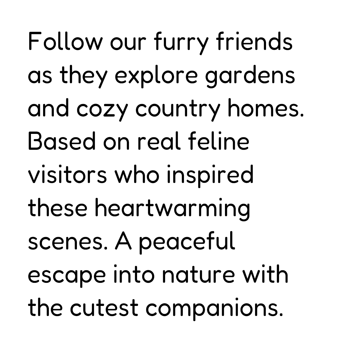 About the coloring book